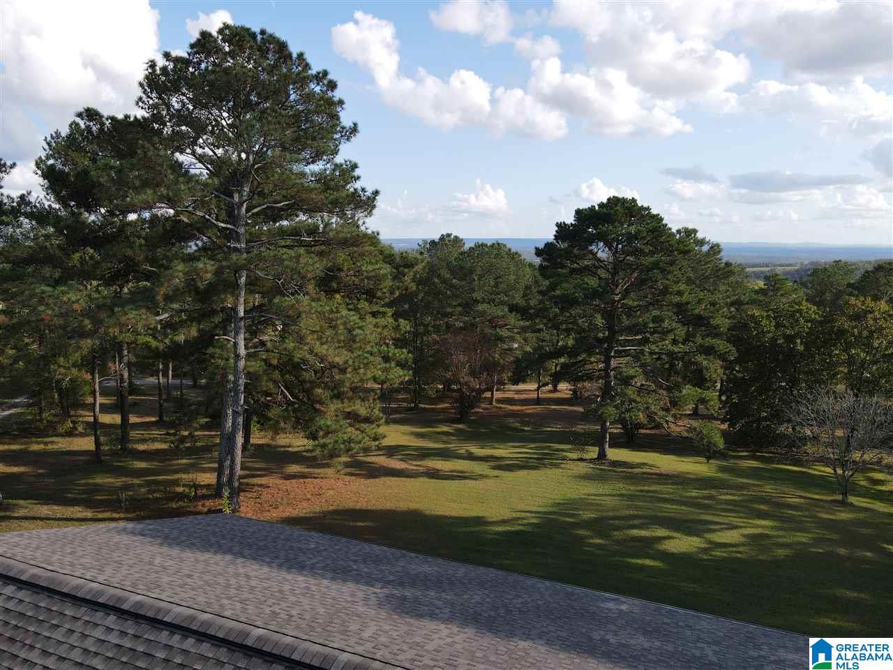 4907 County Road 45 Hayden, AL 35079 - Photo 3 of 28