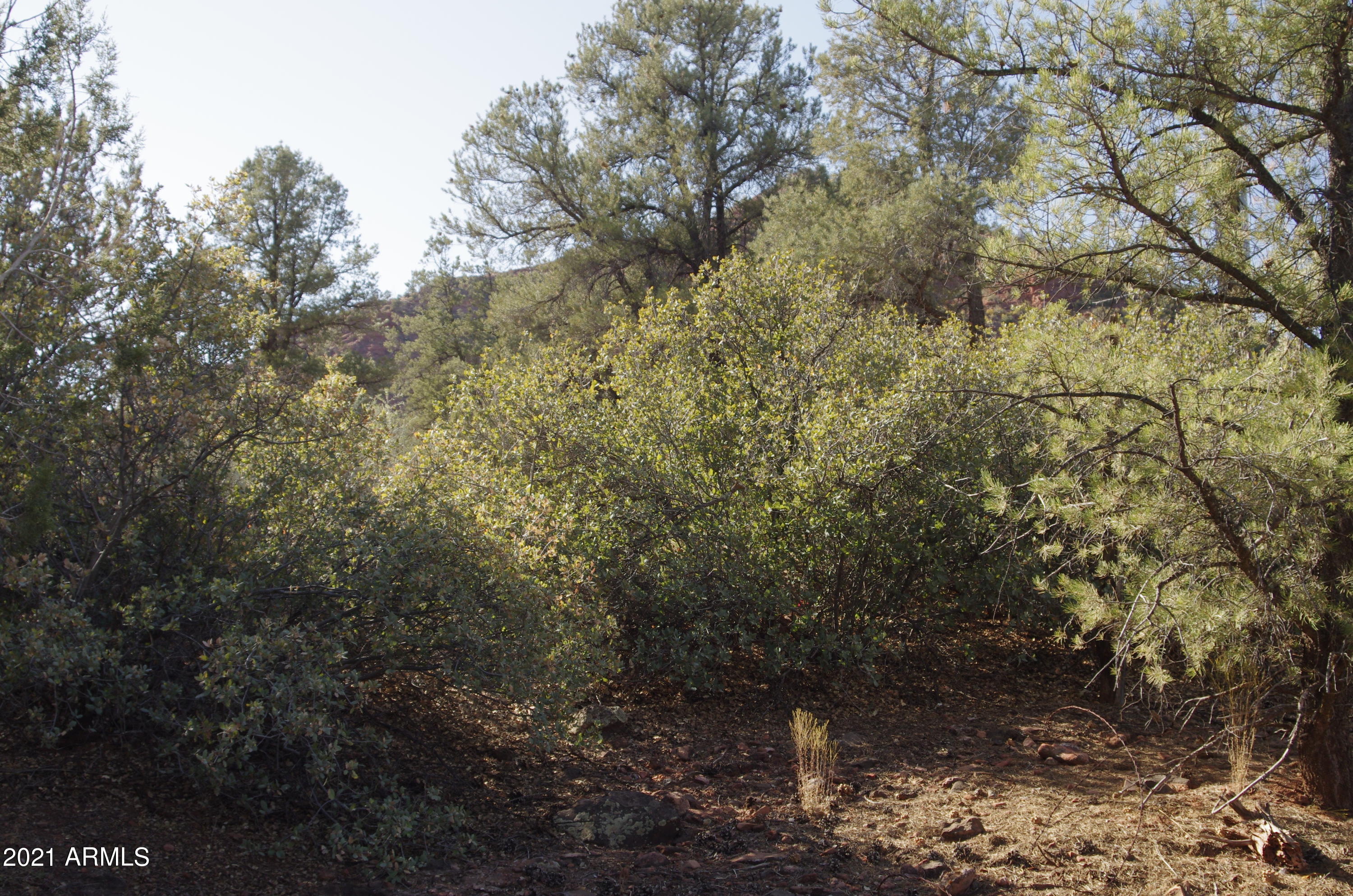 1890 Red Rock Loop Road Sedona, AZ 86336 - Photo 12 of 32 1890 W Red Rock Loop RD