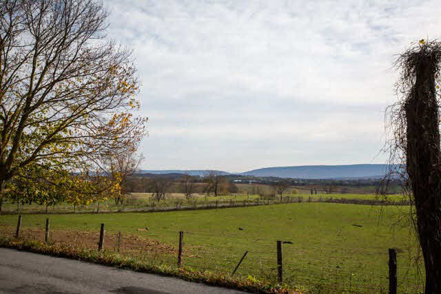 17835 Andrick Mill Road Timberville, VA 22853 - Photo 3 of 3 Gallery Image 3