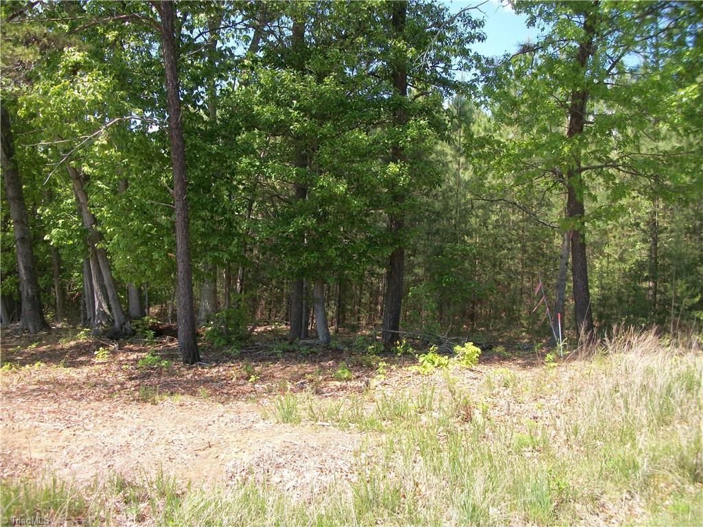 0 Floyd Road Eden, NC 27288 - Photo 2 of 5