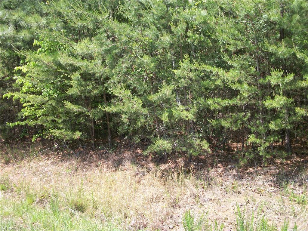 0 Floyd Road Eden, NC 27288 - Photo 4 of 5