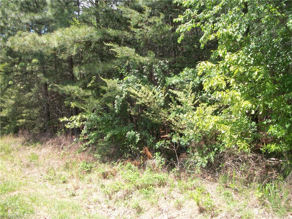 0 Floyd Road Eden, NC 27288 - Photo 5 of 5