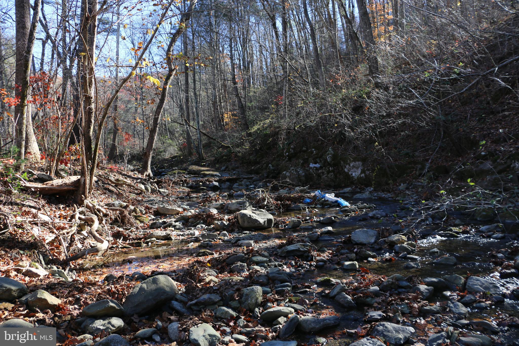 0 Overlook Mountain Road Elkton, VA 22827 - Photo 2 of 19 Gallery Image 2