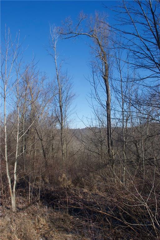 0 Audubon Road Sewickley, PA 15143 - Photo 2 of 13 a backyard of a house with lots of green space