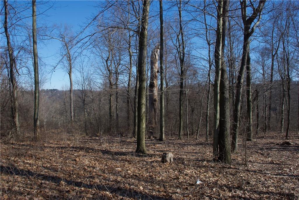 0 Audubon Road Sewickley, PA 15143 - Photo 3 of 13 a view of backyard space