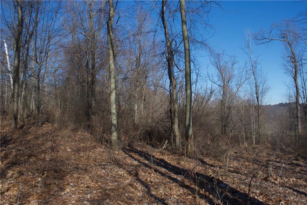 0 Audubon Road Sewickley, PA 15143 - Photo 4 of 13 a view of a forest