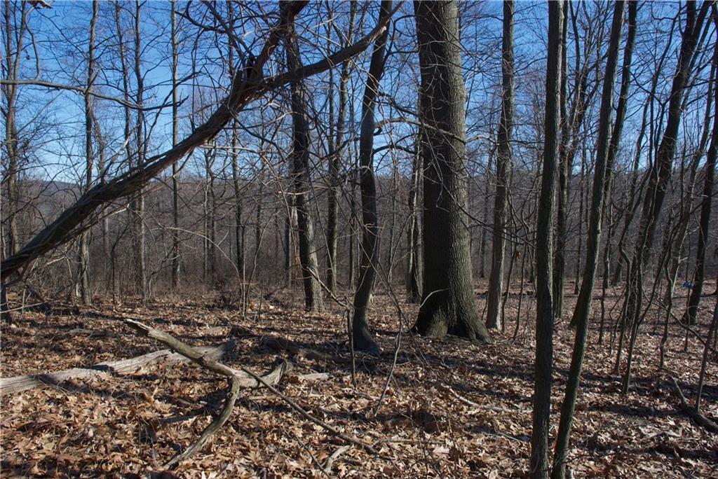 0 Audubon Road Sewickley, PA 15143 - Photo 5 of 13 a view of a backyard