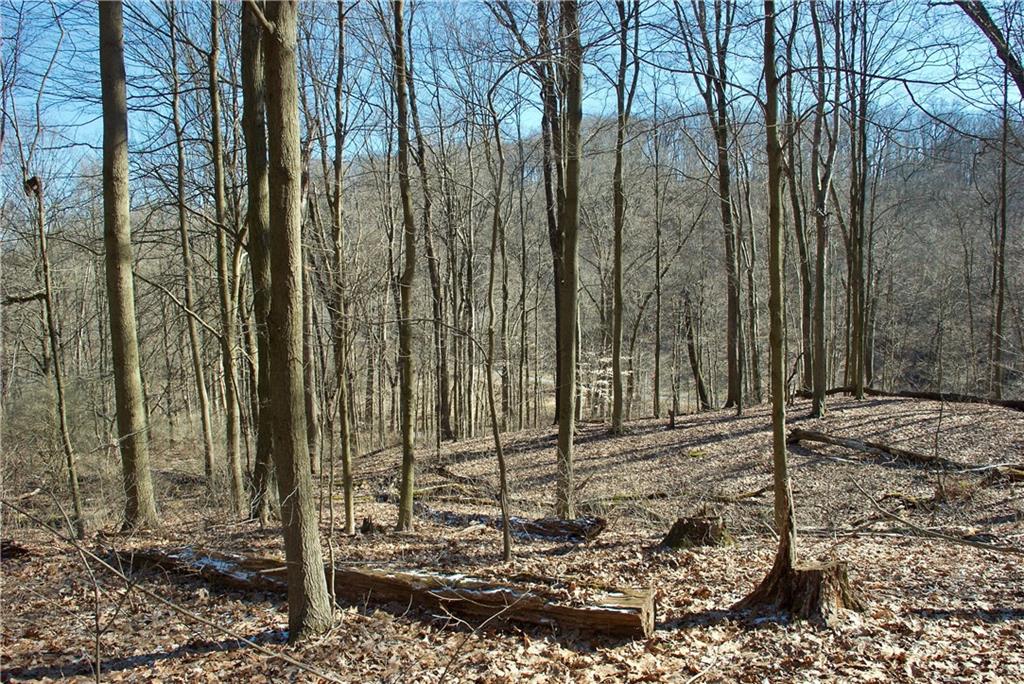 0 Audubon Road Sewickley, PA 15143 - Photo 6 of 13 a view of a outdoor space