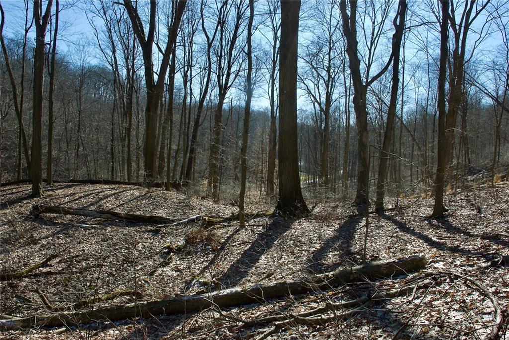 0 Audubon Road Sewickley, PA 15143 - Photo 8 of 13 a view of outdoor space and yard
