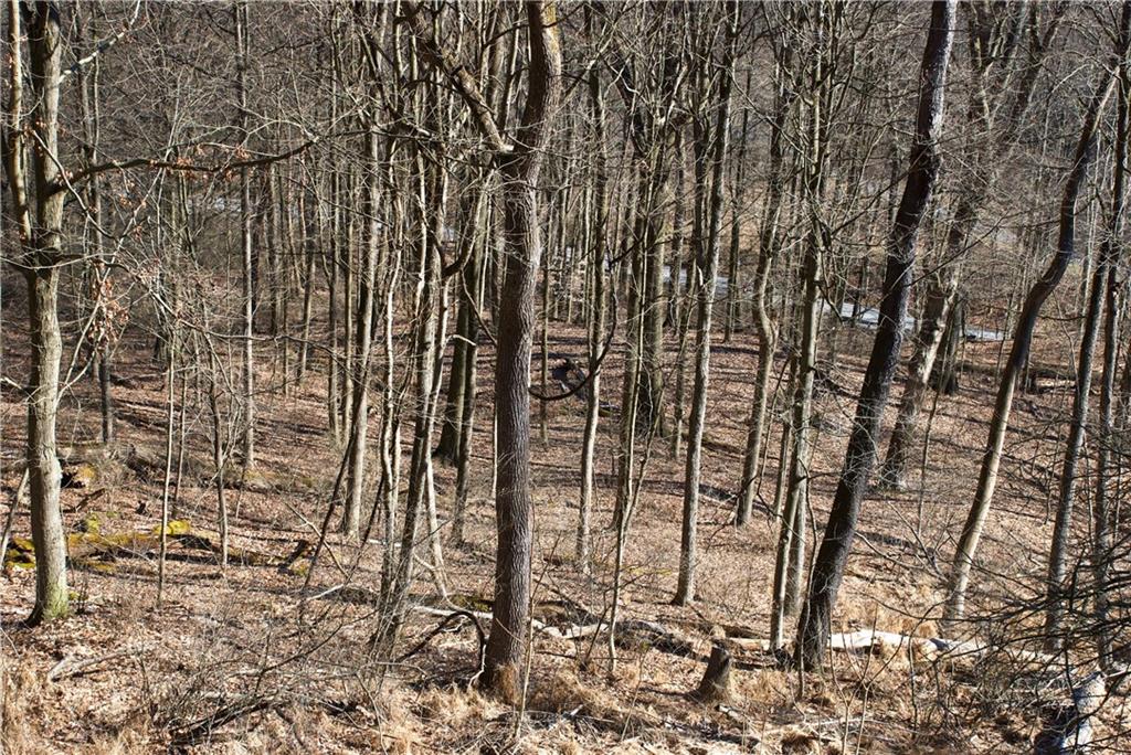 0 Audubon Road Sewickley, PA 15143 - Photo 9 of 13