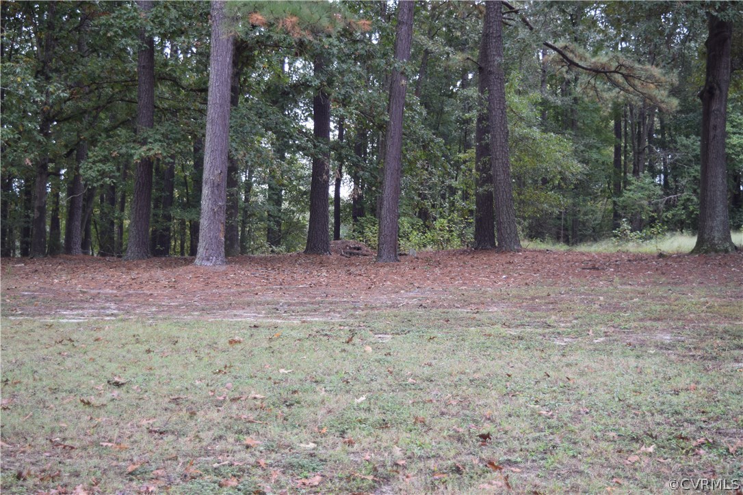 9103 Squirrel Level Road Petersburg, VA 23803 - Photo 3 of 22 Gallery Image 3
