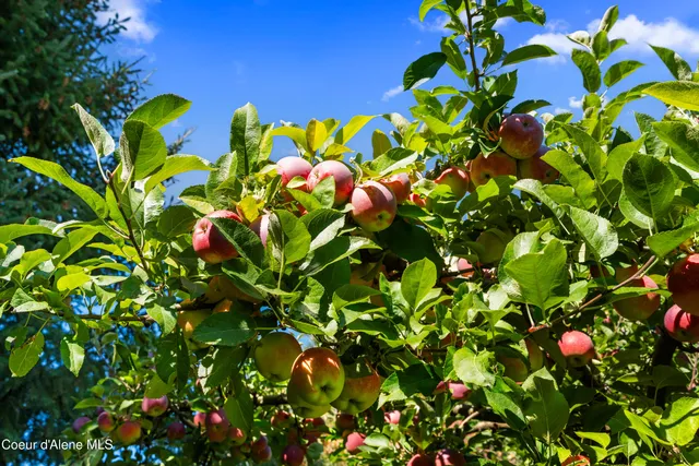 $1,295,000 | 7535 North Mt Carrol Street, Dalton Gardens, ID 83815