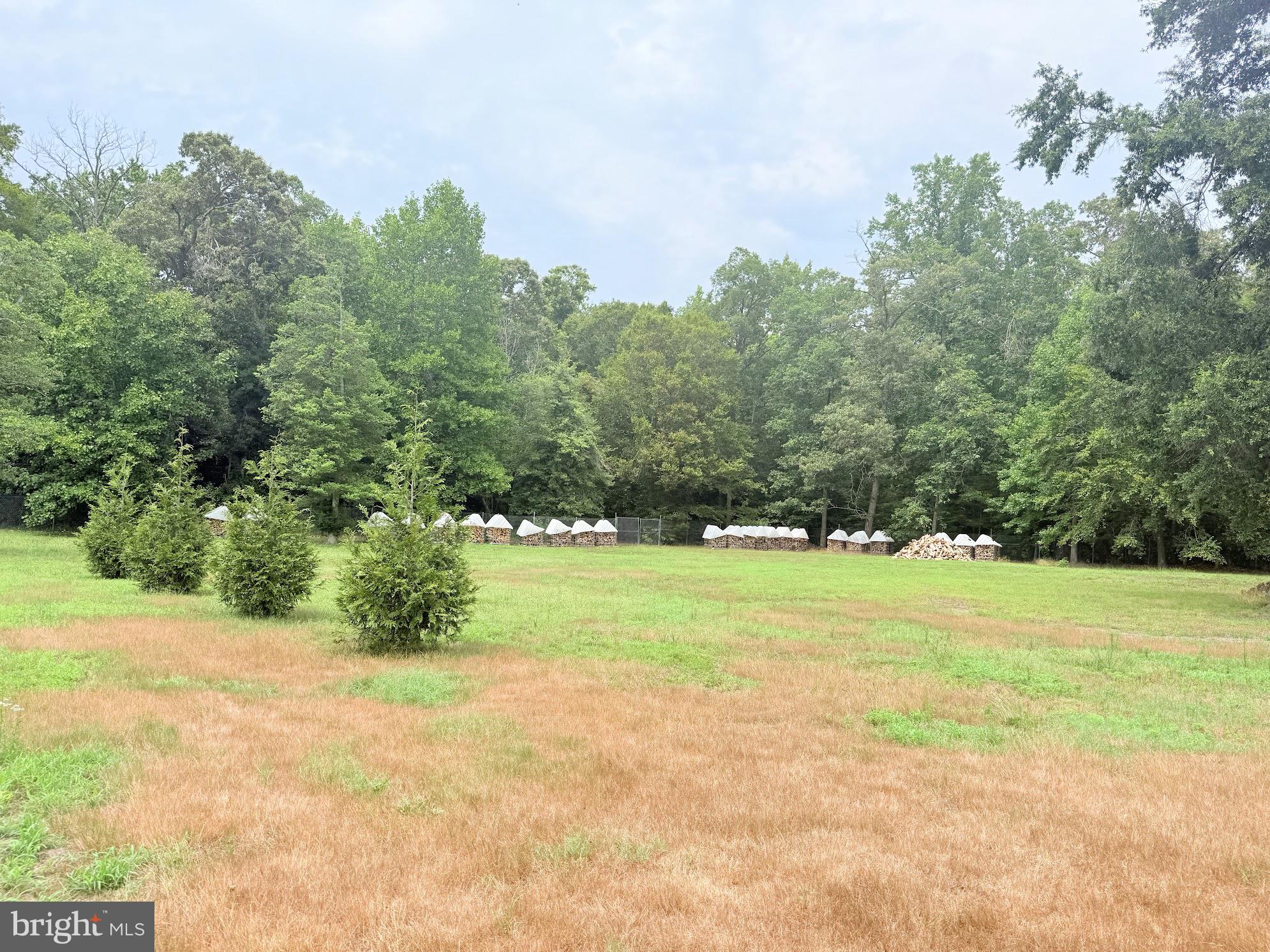 14540 Drapers Mill Road Goldsboro, MD 21636 - Photo 3 of 28 Adjoining 3 acre parcel