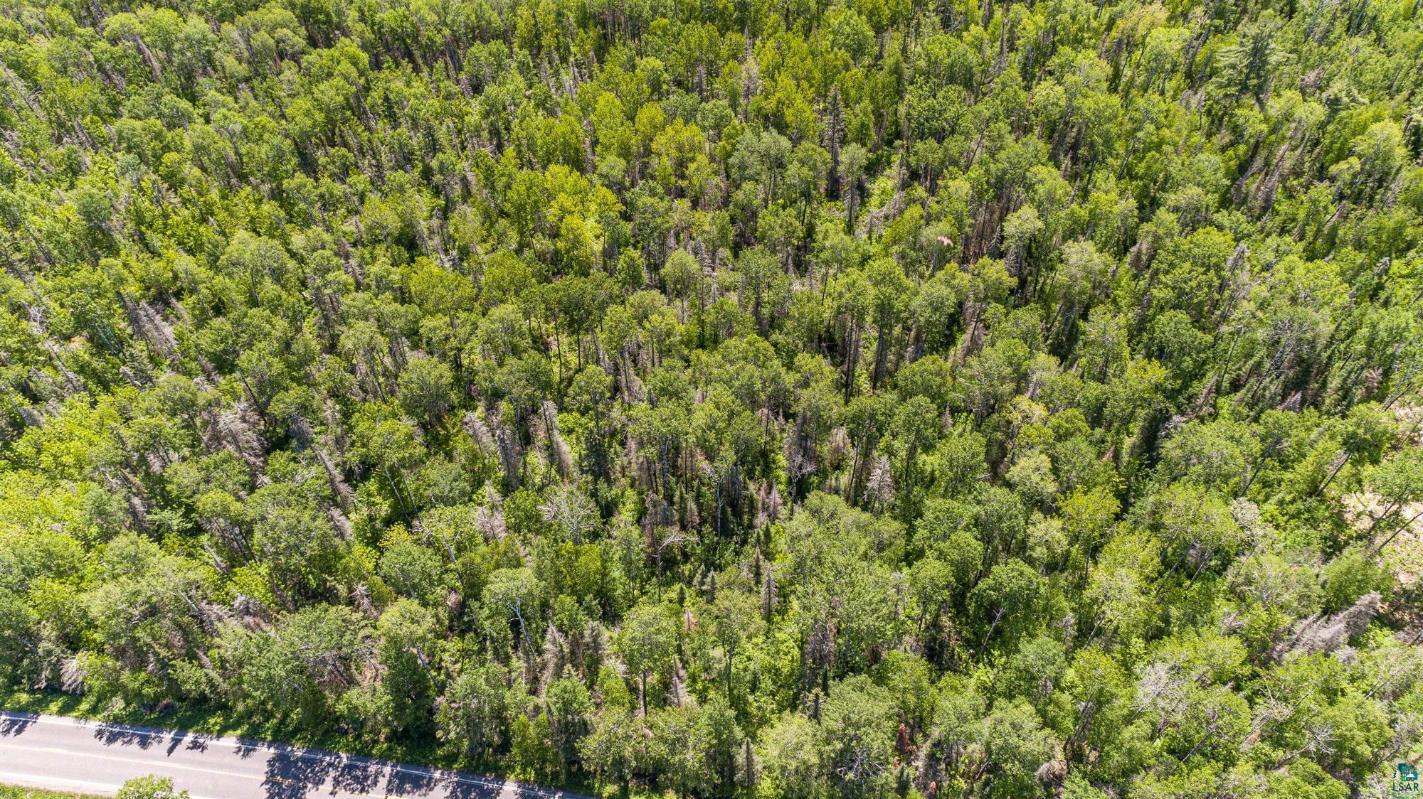Tbd Fernberg Road Ely, MN 55731 - Photo 5 of 17 View of birds eye view of property