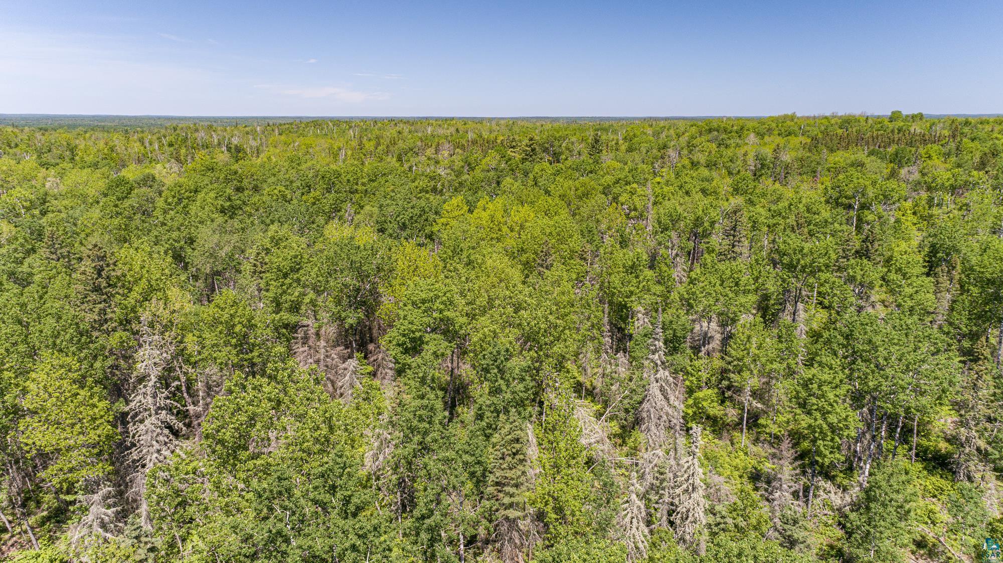 Tbd Fernberg Road Ely, MN 55731 - Photo 10 of 17 View of local wilderness