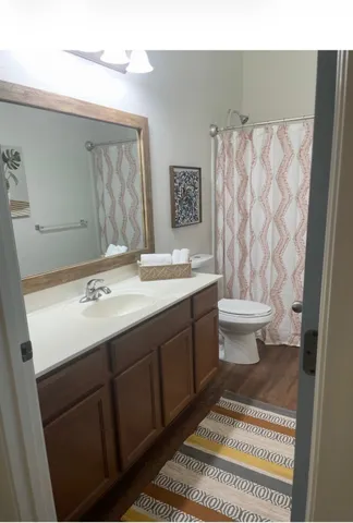 a bathroom with a sink a toilet and a mirror