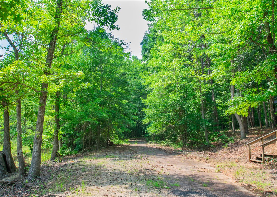 200 Chenault Road Townville, SC 29689 - Photo 41 of 47 A tranquil, tree-lined path leads to a private sanctuary, embracing nature's serenity.