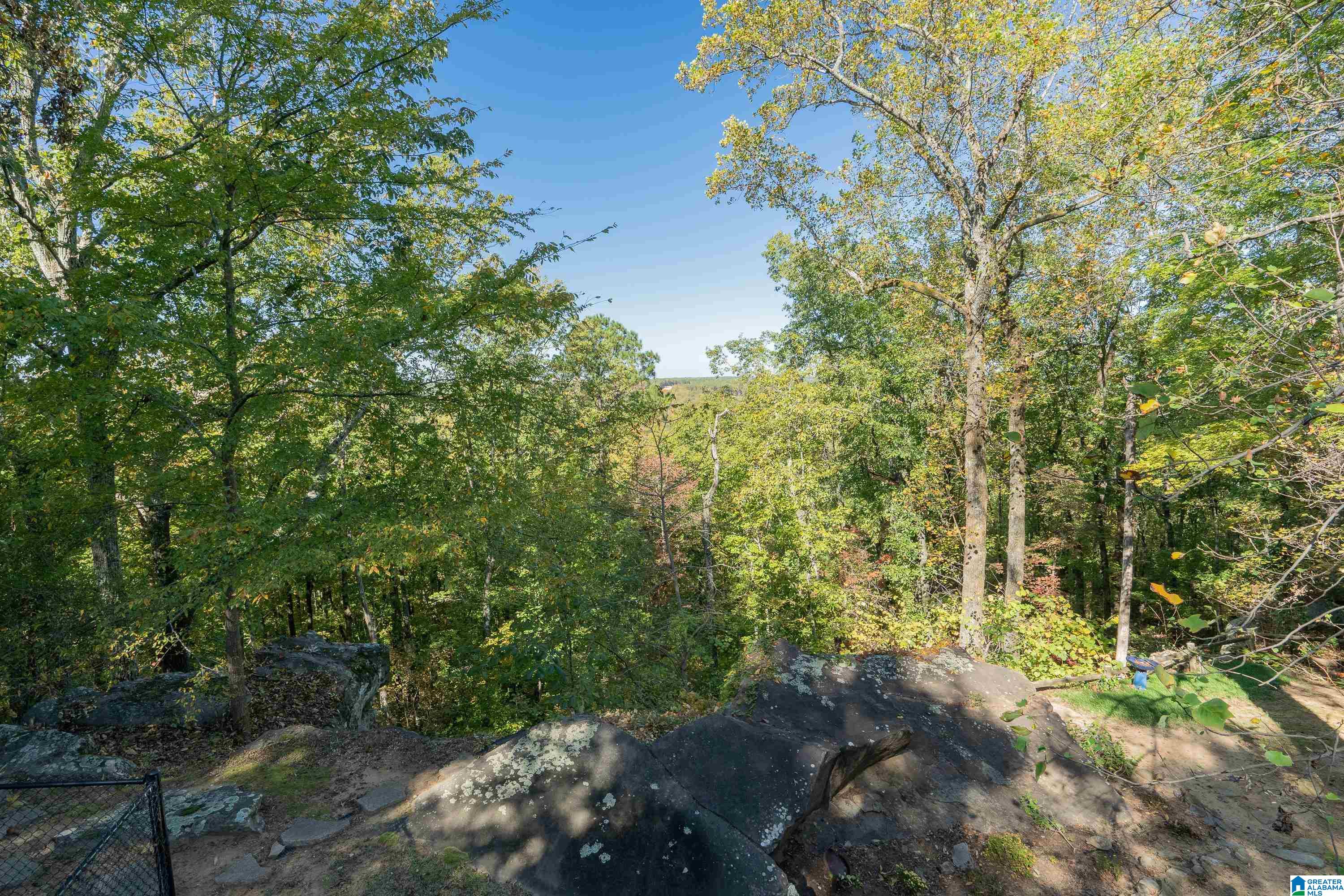 122 Shades Crest Road Birmingham, AL 35226 - Photo 43 of 50