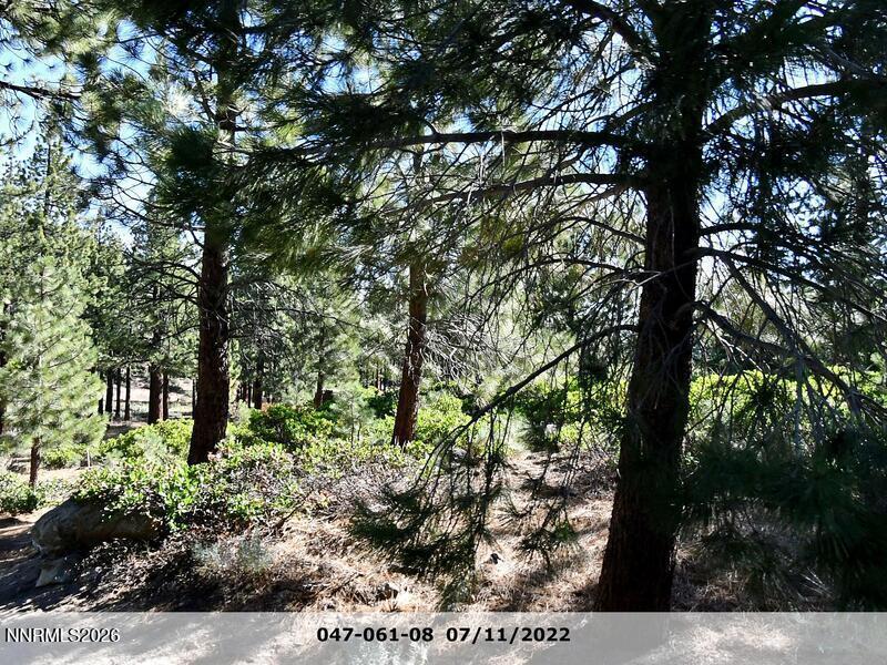 955 Blue Spruce Road, Unit 955 BLUE SPRUCE DR Reno, NV 89511 - Photo 1 of 1 955 Blue Spruce Rd. Galena Forest Subdiv