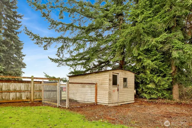 a view of a backyard