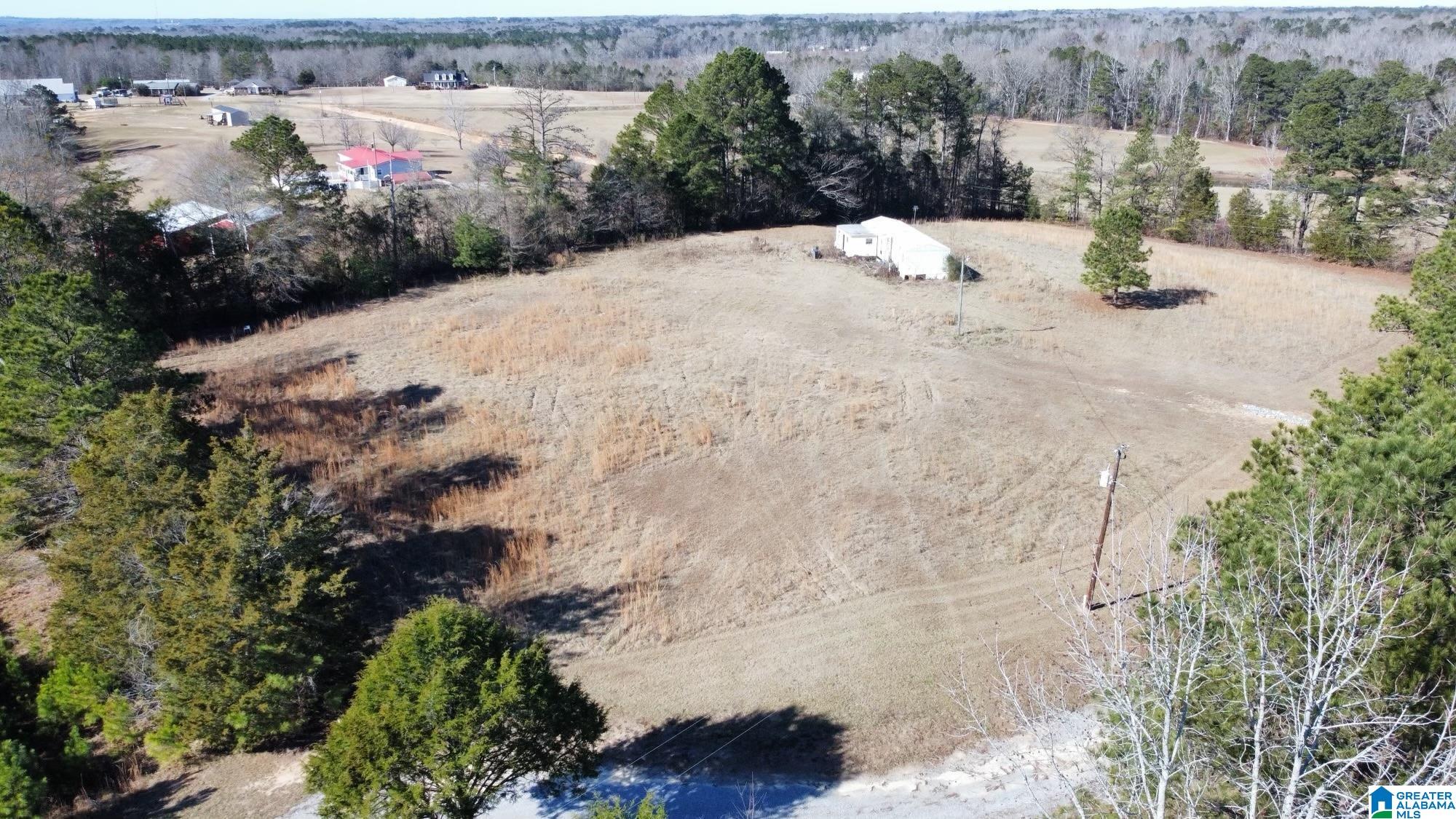 40 County Road 494 Verbena, AL 36091 - Photo 12 of 16