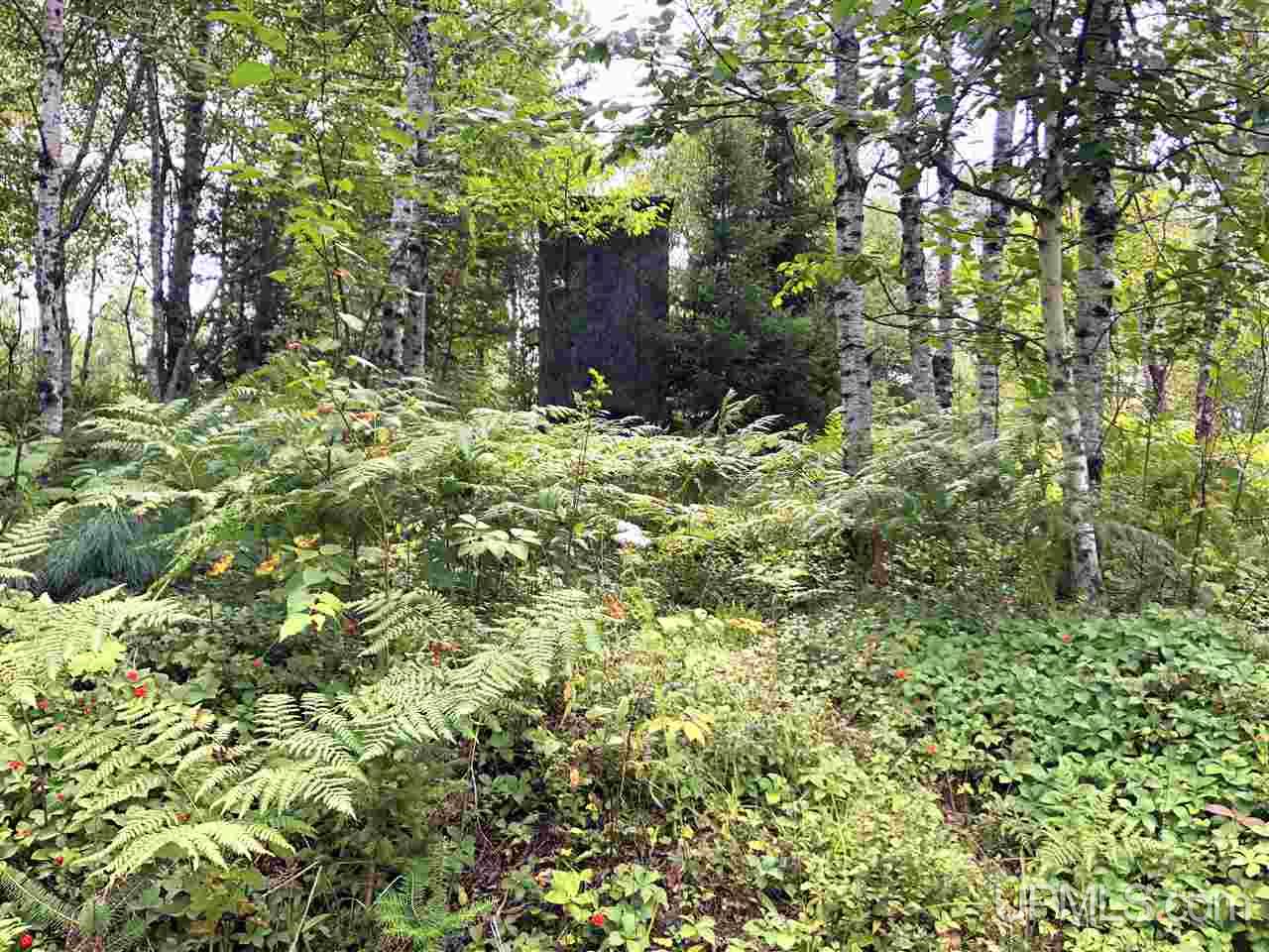 Tbd Perlot Road Felch, MI 49831 - Photo 12 of 45