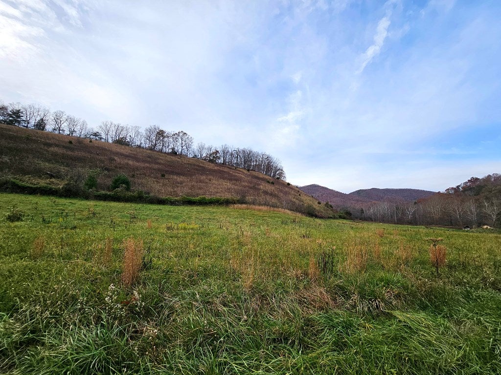 28315 Poor Valley Road, Unit 15 Saltville, VA 24370 - Photo 3 of 15 Gallery Image 3