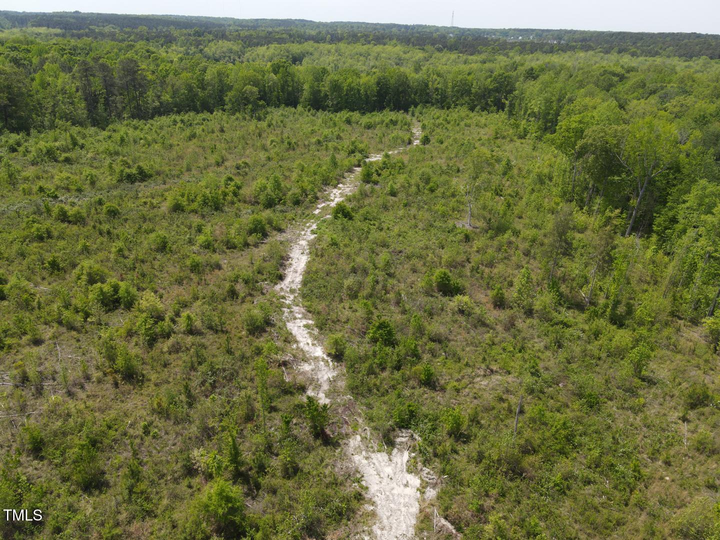 3701-2940 Wendell Road Wendell, NC 27591 - Photo 12 of 16 a view of a lush green forest with lush green forest