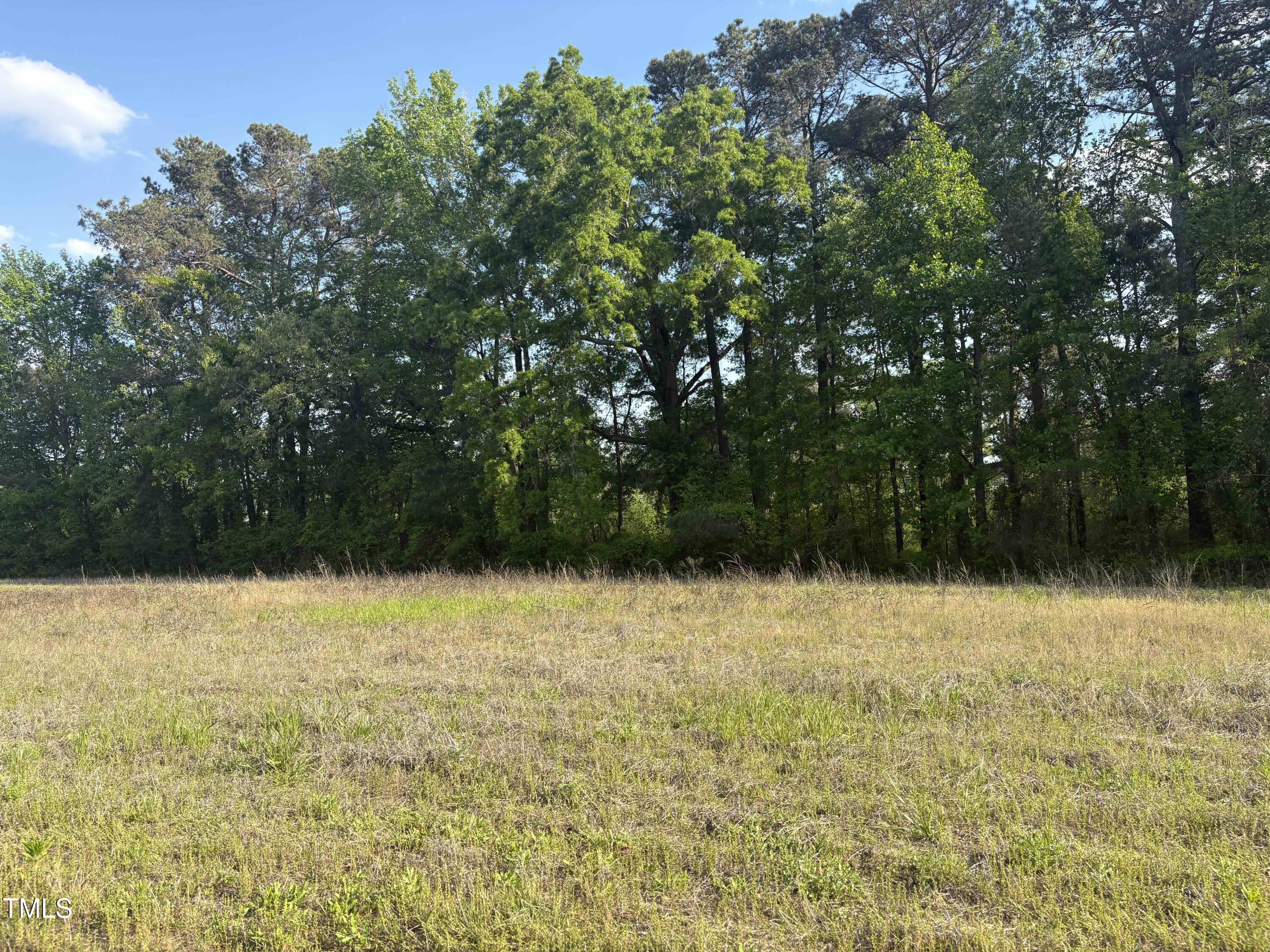 3701-2940 Wendell Road Wendell, NC 27591 - Photo 6 of 16