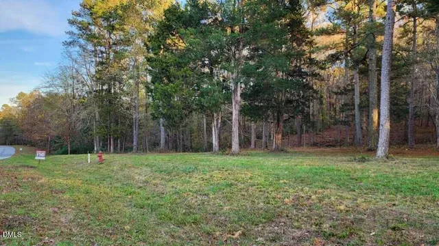 a view of a grassy field with trees in the background