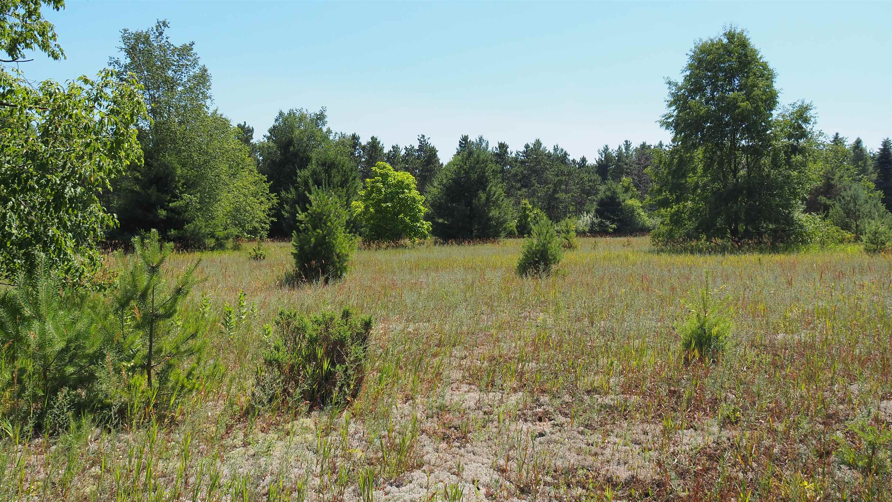 7478 Way Road Honor, MI 49640 - Photo 14 of 48 1905640-13.JPG