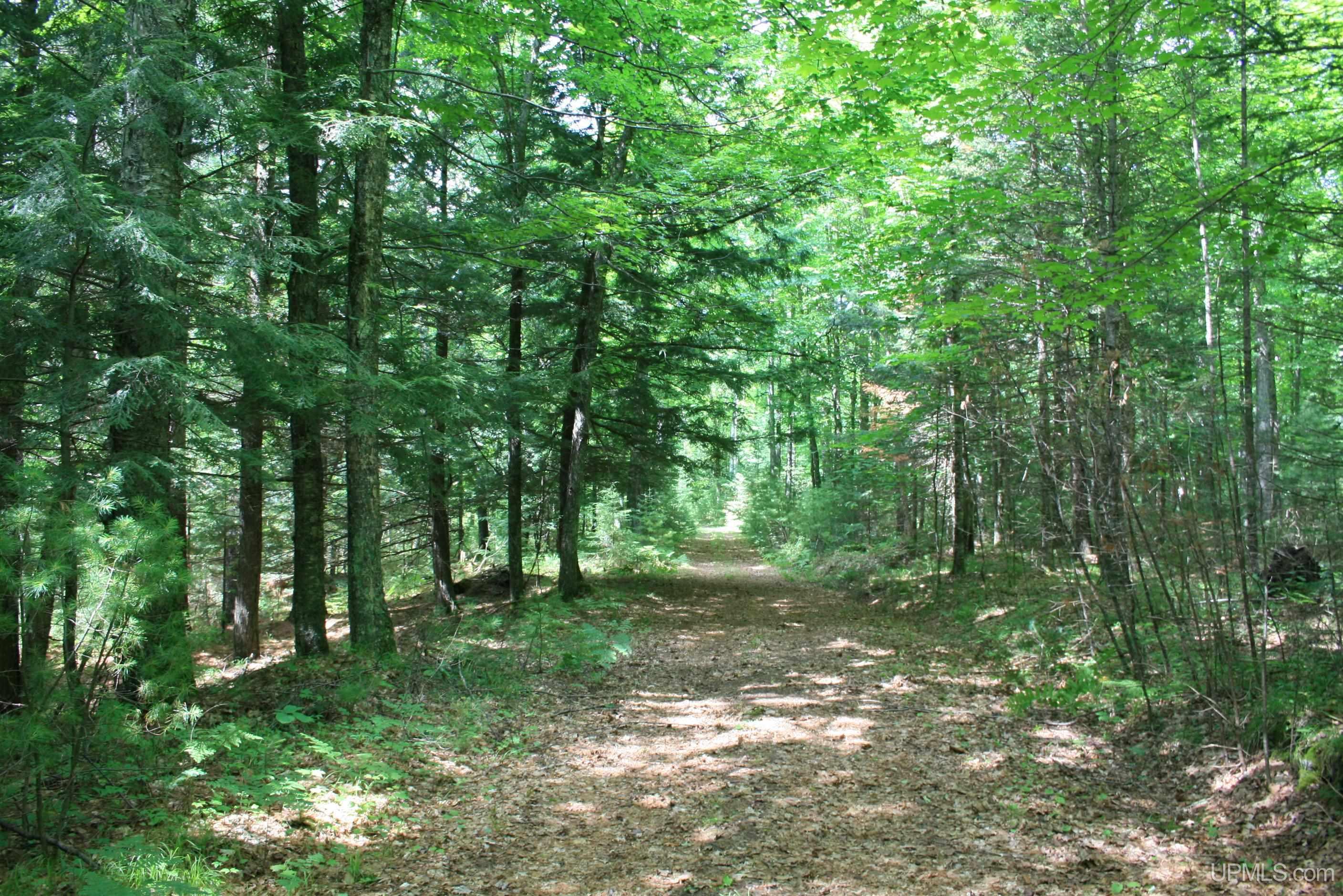 Tbd Sucker Lake Road Watersmeet, MI 49969 - Photo 6 of 24