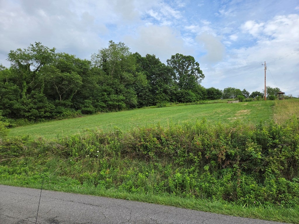 Lot 21 Rural Retreat Lake Road, Unit 21 Rural Retreat, VA 24368 - Photo 3 of 16 Gallery Image 3