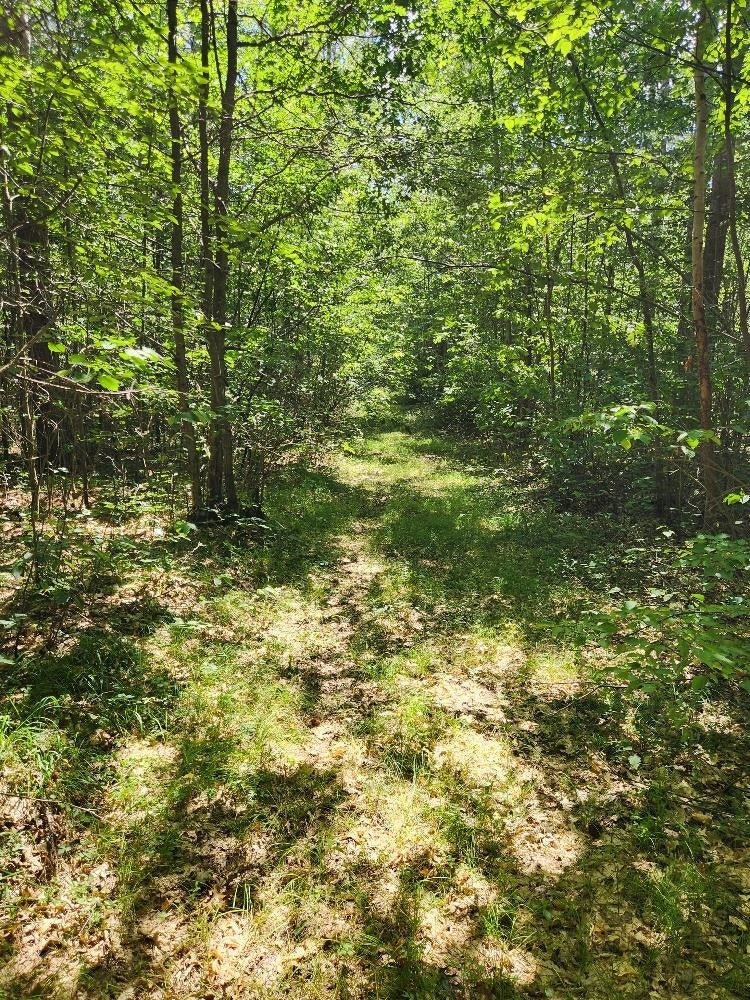 On Prairie Lake Road, Unit LOTS 58 Tomahawk, WI 54487 - Photo 11 of 30 Gallery Image 11