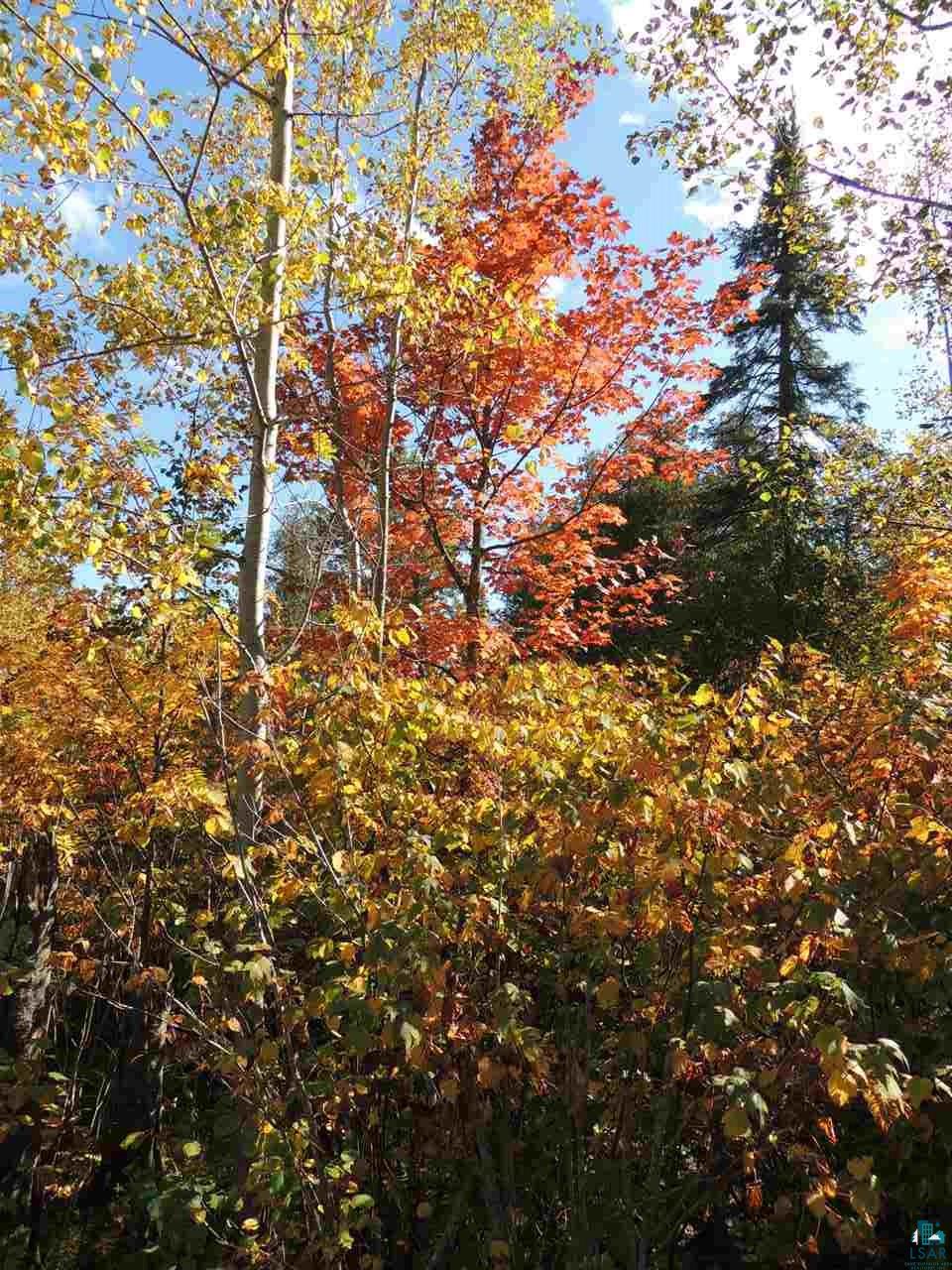 X30 Isak Ridge Lutsen, MN 55612 - Photo 9 of 28
