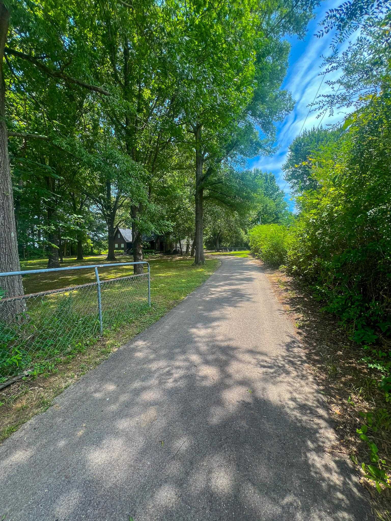 470 Rich Road Somerville, TN 38068 - Photo 2 of 40 Paved path bordered by mature trees and lush foliage