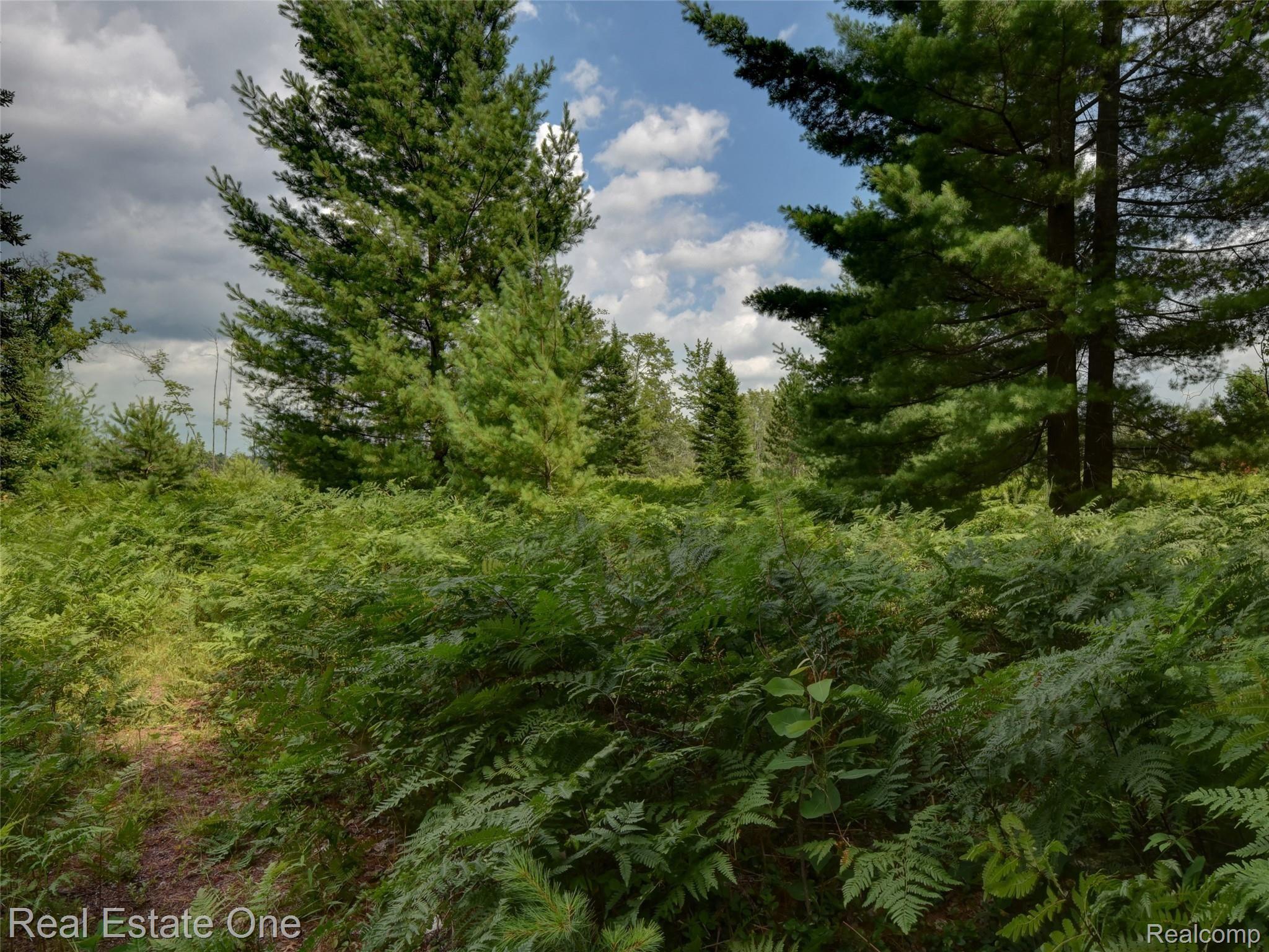 0 South Morrison Road Alger, MI 48610 - Photo 14 of 38 08C-5837-38-39-40-41-MLS.jpg