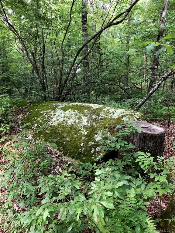 372 Oriole Road Brevard, NC 28712 - Photo 25 of 27 Gallery Image 25