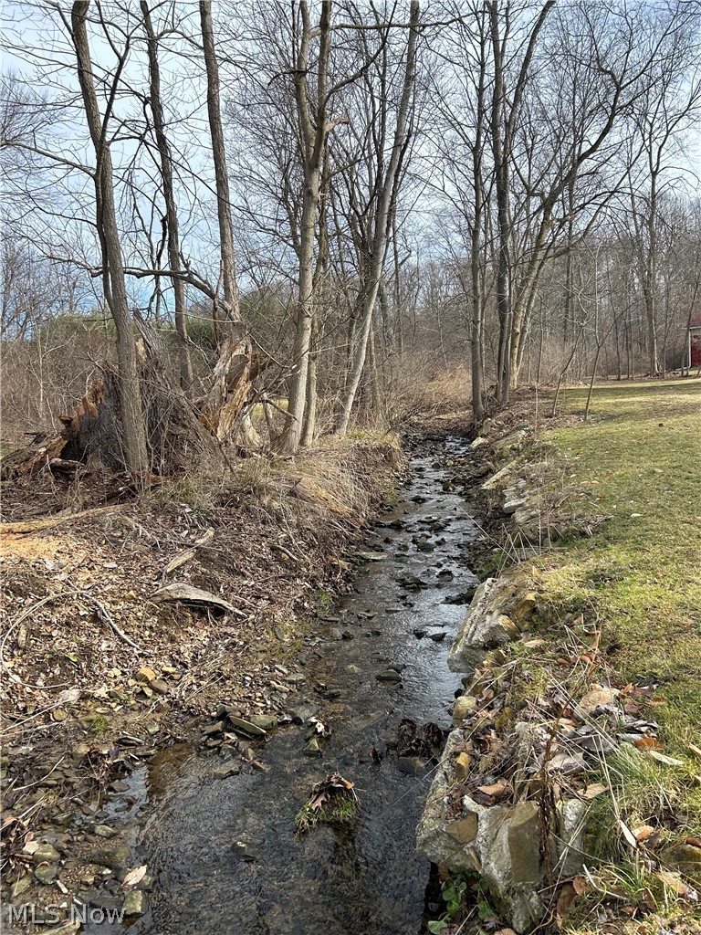 1283 Nesbitt Road Northfield, OH 44067 - Photo 9 of 22 View of mother earth's splendor featuring a water view