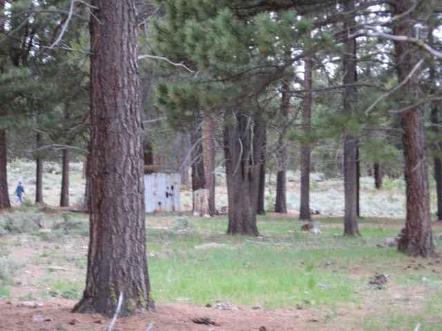 39150 9 9 Mile Road Chiloquin, OR 97624 - Photo 3 of 15 Additional Photo