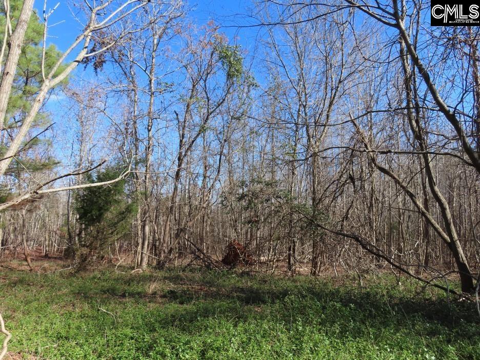 637 Cook Road Ridgeway, SC 29130 - Photo 24 of 51