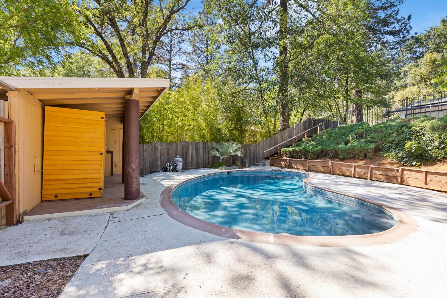 2971 Letitia Avenue Placerville, CA 95667 - Photo 31 of 65 a view of a backyard with a small cabin