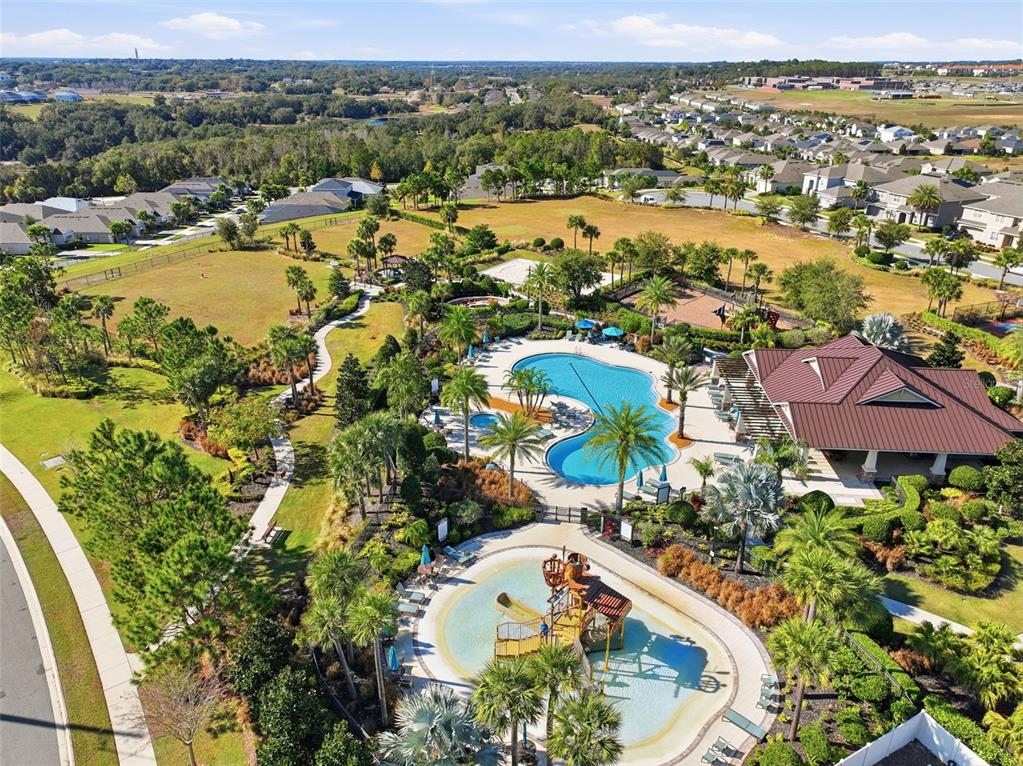 910 Zeek Ridge Court Clermont, FL 34715 - Photo 86 of 94