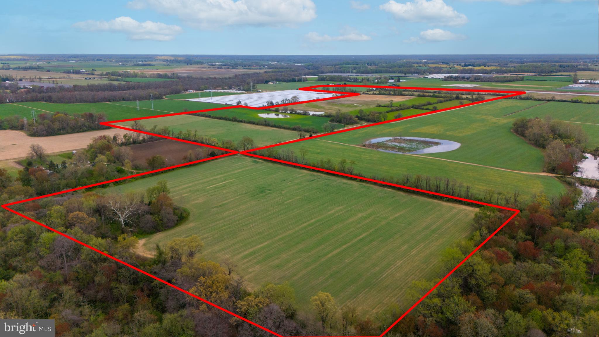 509 Pointers Auburn Road Salem, NJ 08079 - Photo 4 of 10