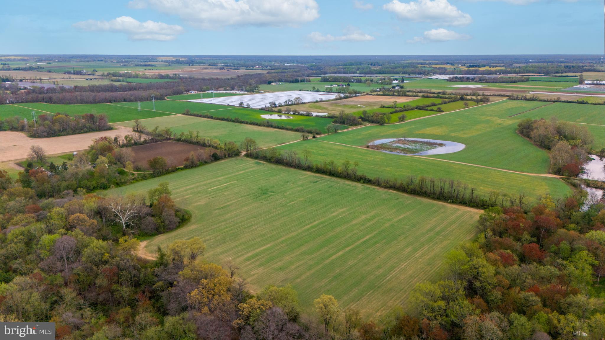 509 Pointers Auburn Road Salem, NJ 08079 - Photo 5 of 10