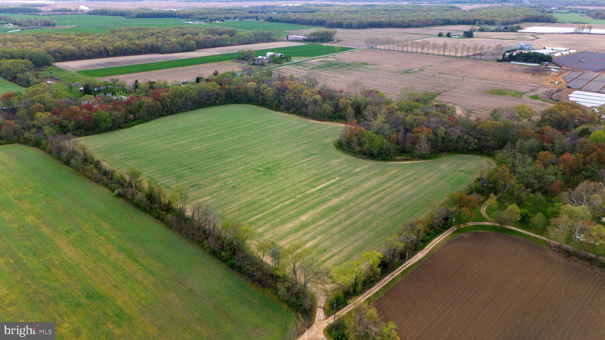 509 Pointers Auburn Road Salem, NJ 08079 - Photo 8 of 10