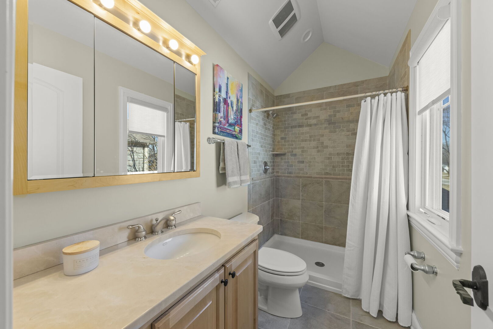 1723 Driving Park Road Wheaton, IL 60187 - Photo 21 of 43