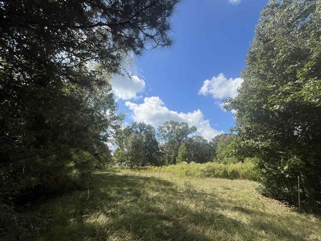 96 Borland Road Deville, LA 71328 - Photo 4 of 5