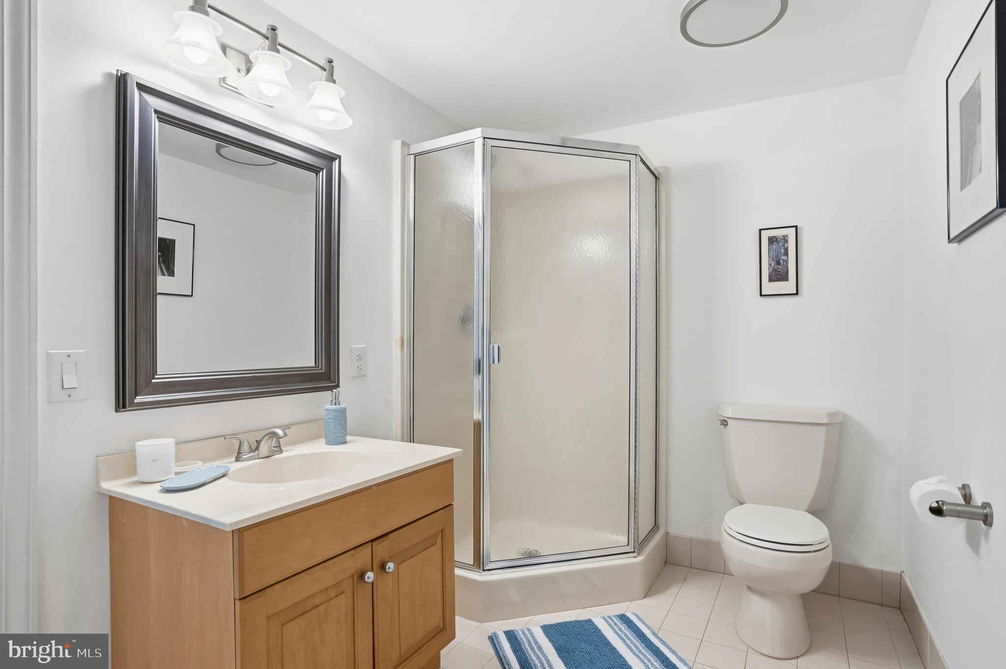 65 Bortons Road Marlton, NJ 08053 - Photo 47 of 66 basement-bathroom 5