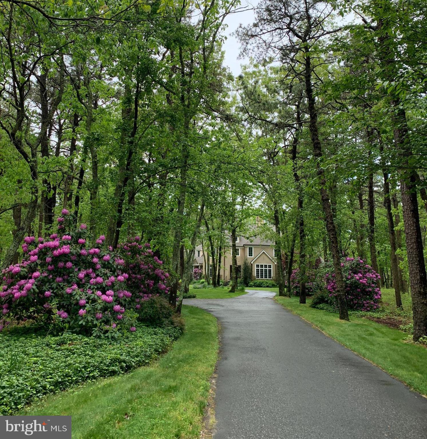 65 Bortons Road Marlton, NJ 08053 - Photo 53 of 66 spring/summer- landscaping in full bloom